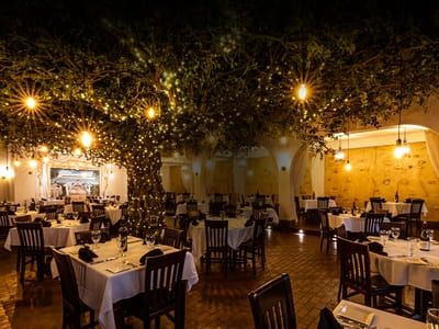 Firefly restaurant in Panama City Beach