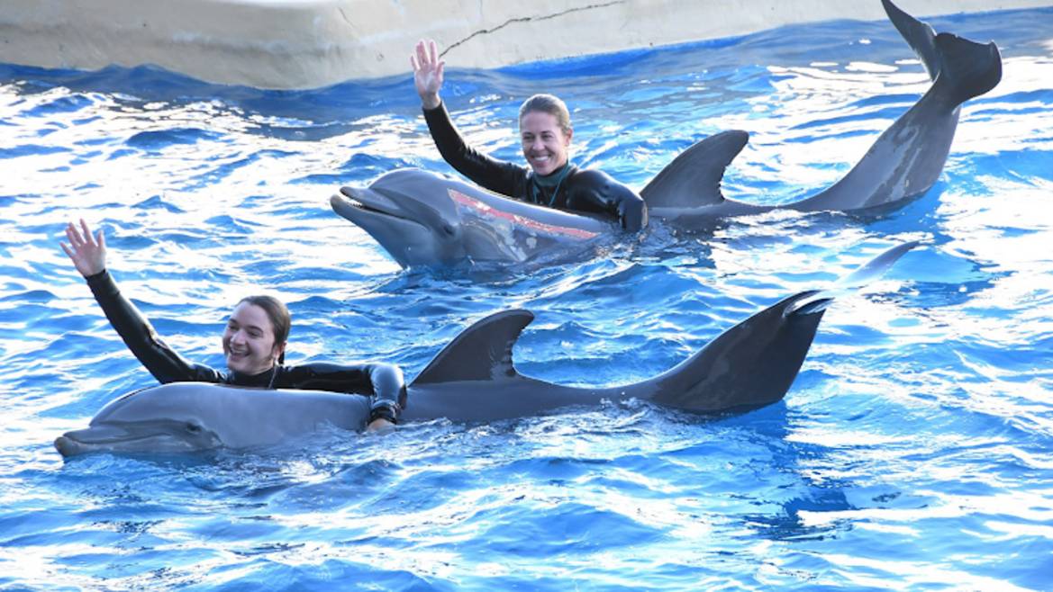 Gulf World Marine Park