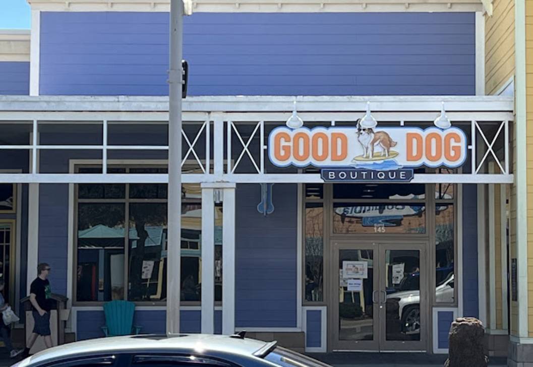 Interior of Good Dog Boutique Panama City Beach with dog treats, harnesses, and accessories